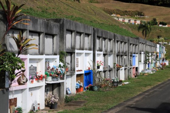 Travaux d’entretien des enfeus du cimetière de Erima